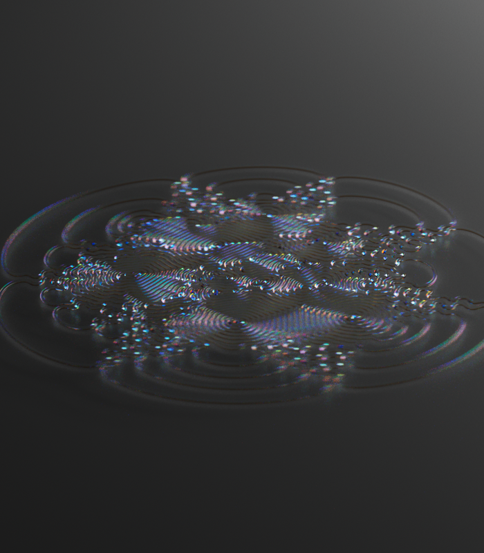 12852625_00245