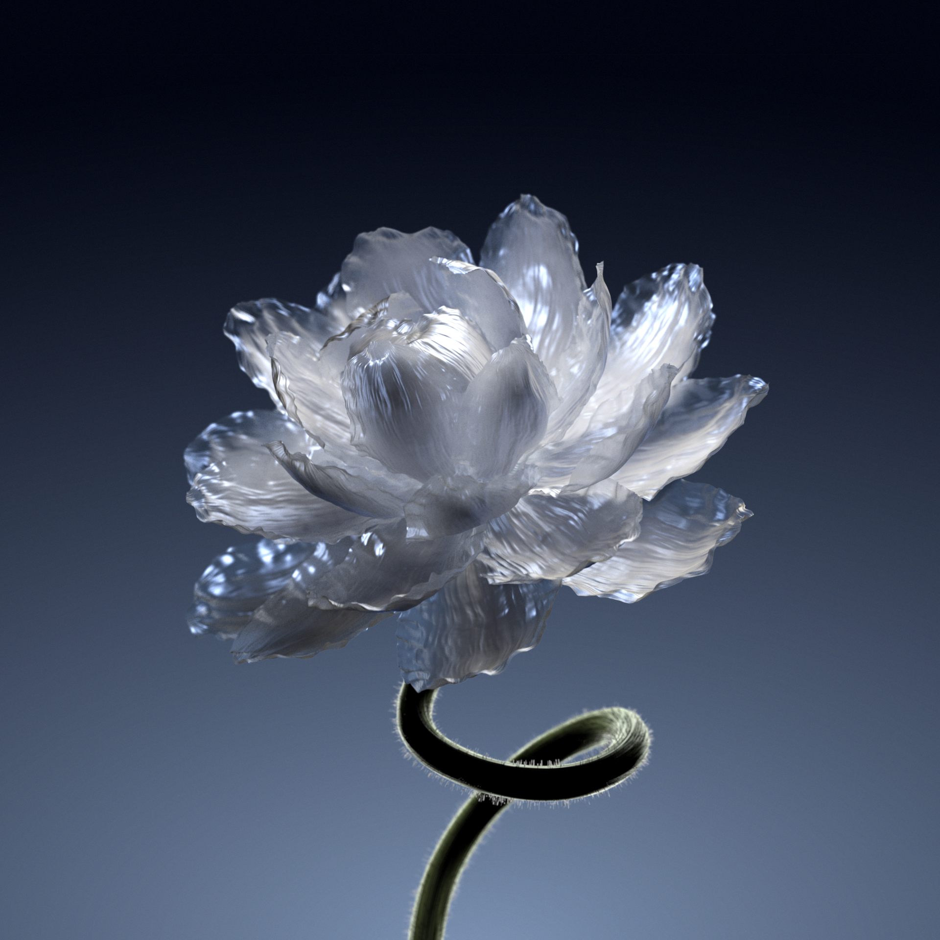 FLOWER-07_9-16_00099